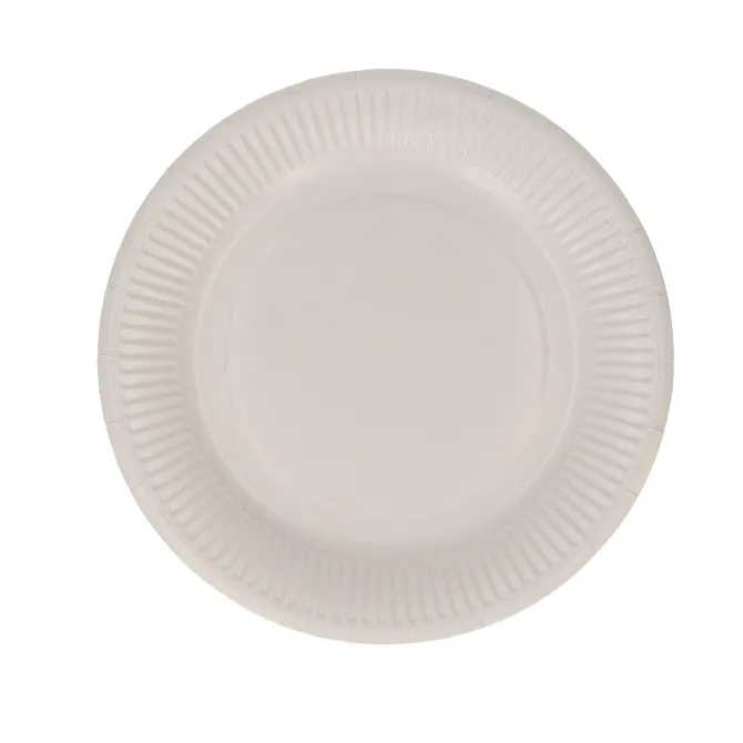 Bordjes papier 18CM 20 stuks