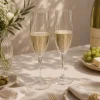 Champagneglazen herbruikbaar plastic 2 stuks