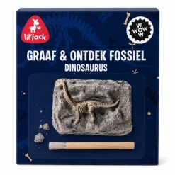 Dinosaur Excavation Fossil