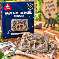 Dinosaur Excavation Fossil