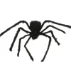 Harige spin Halloween zwart