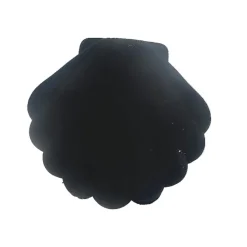 Sieradendoosje Schelp Zwart