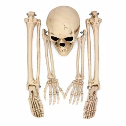 Skelet Halloween 5 delig