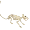 Skelet Halloween rat