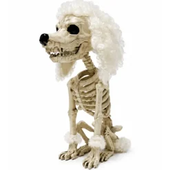 Skelet Poedel