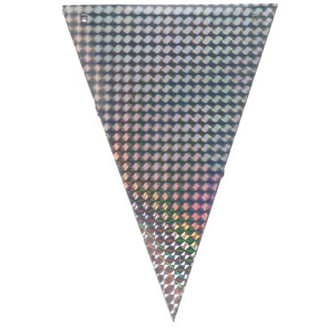 Vlaggenlijn holografisch zilver - 2,6m
