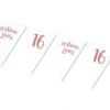 Vlaggenlijn 16 jaar roségoud - 4m