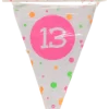 Vlaggenlijn neon 13 jaar - 4m (15 vlaggen)
