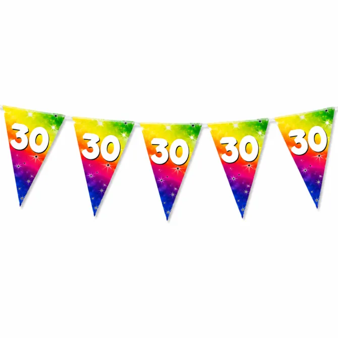 Vlaggenlijn regenboog 30 jaar - 6m (15 vlaggen)