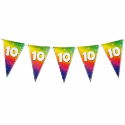 Vlaggenlijn regenboog 10 jaar - 6m (15 vlaggen)