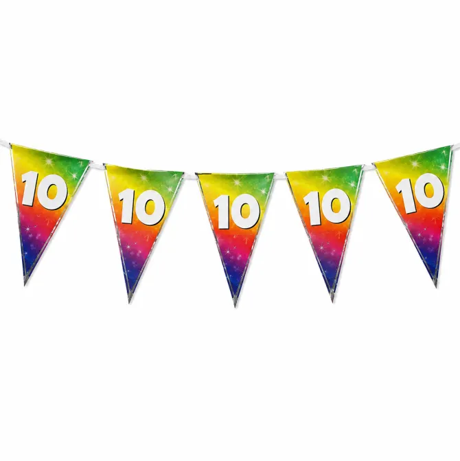 Vlaggenlijn regenboog 10 jaar - 6m (15 vlaggen)