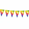 Vlaggenlijn regenboog 9 jaar - 6m (15 vlaggen)