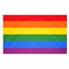 Vlag regenboog - 150 x 90 cm